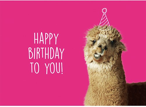 Wollplatz Postkarte - Happy Birthday to You!