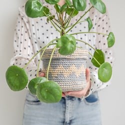 Häkelanleitung Yarn and Colors Basic Plant Baskets