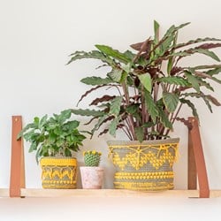 Häkelanleitung Yarn and Colors Boho Plant Baskets