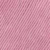224