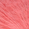 504