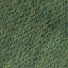 204