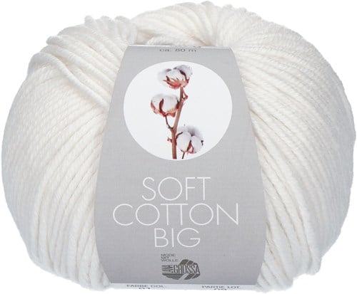 Lana Grossa Soft Cotton Big 1 White
