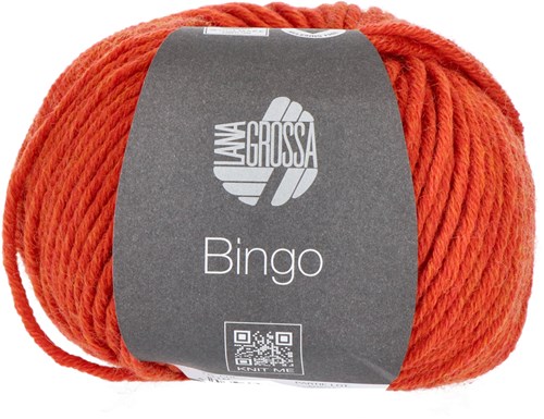 Lana Grossa Bingo Mélange 1010