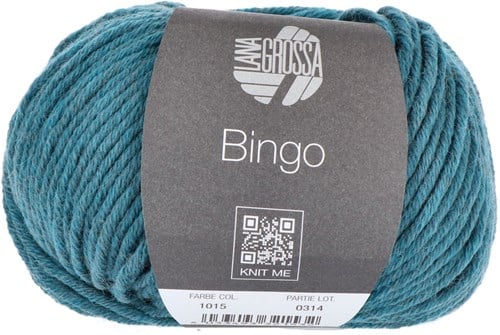 Lana Grossa Bingo Mélange 1015