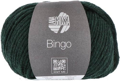Lana Grossa Bingo Mélange 1016