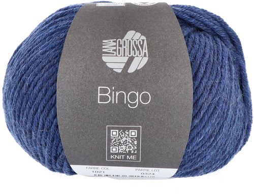 Lana Grossa Bingo Mélange 1021
