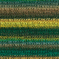 Lang Yarns Cloud 004 Grün-2