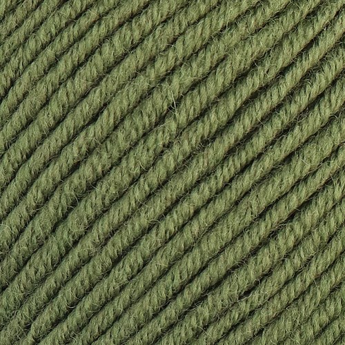 Lang Yarns Merino 120 0397 Krokodilgrün-2