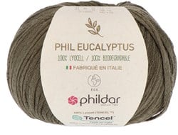 Phildar Phil Eucalyptus