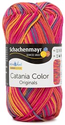 SMC Catania Color 205 Esprit Color