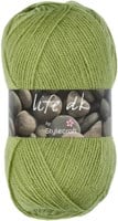 Stylecraft Life DK 2311 fern