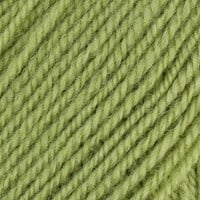 Stylecraft Life DK 2311 fern-2