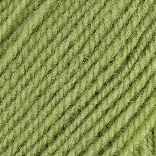 Stylecraft Life DK 2311 fern-2