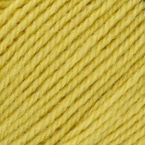 Stylecraft Life DK 2356 zing-2
