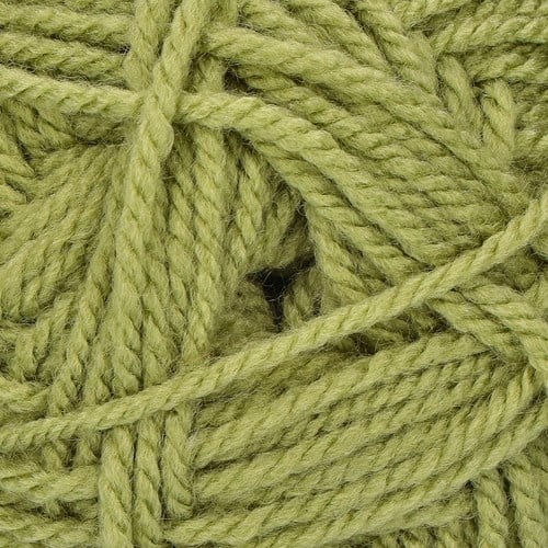 Stylecraft Special Aran 1065 Meadow-2