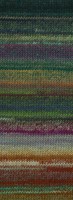 Lana Grossa Colorissimo 216 Hellgrün,Grün,Petrol,Dunkelpetrol,Rot-,Schokobraun, Brugund,Grau-2