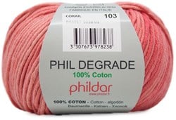 Phildar Phil Degrade