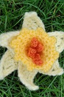 Häkelanleitung Stylecraft Special DK No. F093 Narzisse-2