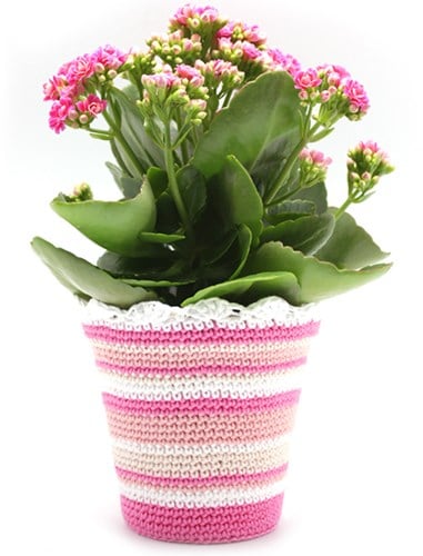 Häkelanleitung Blumentopf