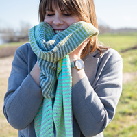 Streifen Schal Degradé Strickpaket 001 Green