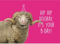 Wollplatz Postkarte - Hip Hip Hooray, it's your B-day