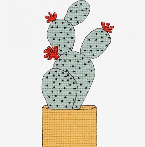 Stickanleitung Kaktus mit Blüten