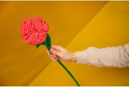 Moederdagbloem