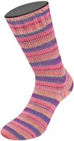 Lana Grossa Landlust Die Sockenwolle 422 Grau/Apricot/Erica/Rust/Peach/Lila/Dunkelrot/Grau-2