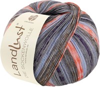 Lana Grossa Landlust Die Sockenwolle 425 Dunkelgrau/aubergine/hellblau/mandarin/lachs
