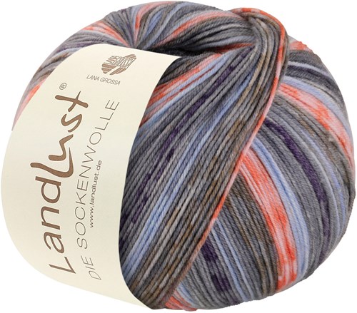 Lana Grossa Landlust Die Sockenwolle 425 Dunkelgrau/aubergine/hellblau/mandarin/lachs
