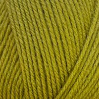 Stylecraft Special DK 2180 Mistletoe-2