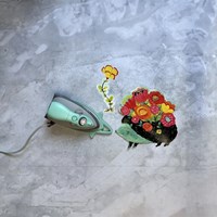 Das M3Pro Aqua Project-Bügeleisen-3
