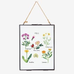 Stickanleitung Botanische Heilkräuter