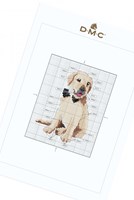 Stickanleitung Golden Retriever-2