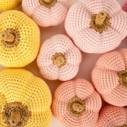 Herfstpompoen - Yarn and Colors Patroon (digital)