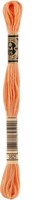 DMC 117MC Mouliné Spécial Stickgarn 8m 3825