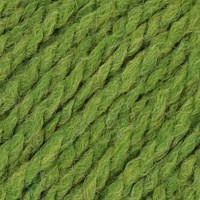 Stylecraft Softie Chunky 2418 Fern-2